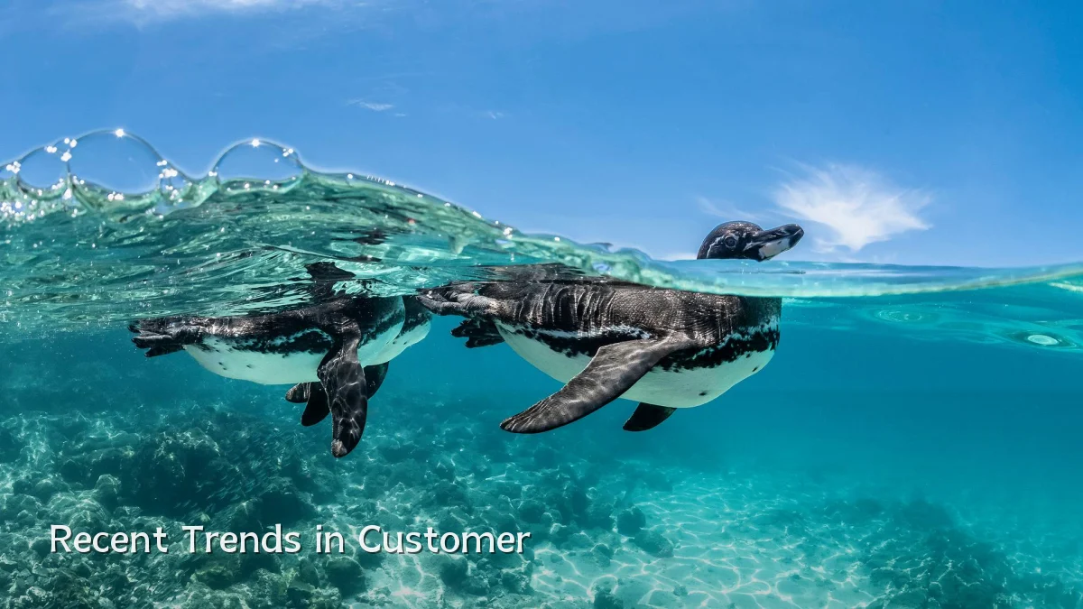 Recent Trends in Customer