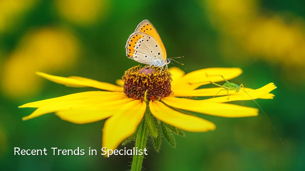 Recent Trends in Specialist