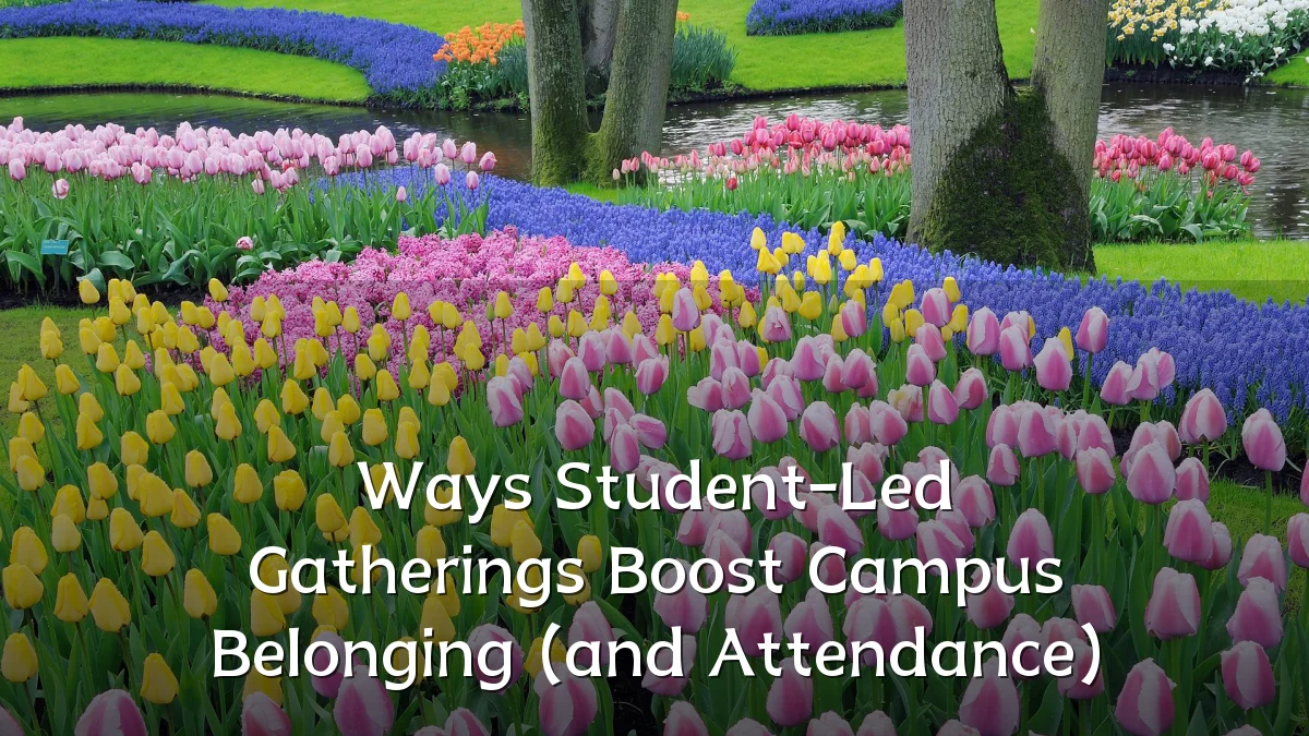 Ways Student-Led Gatherings Boost Campus Belonging (and Attendance)