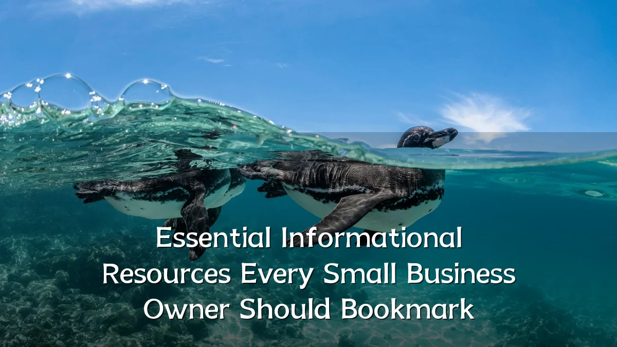Essential Informational Resources Every Small Business Owner Should Bookmark