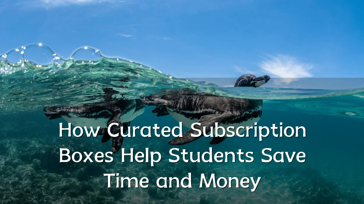 How Curated Subscription Boxes Help Students Save Time and Money