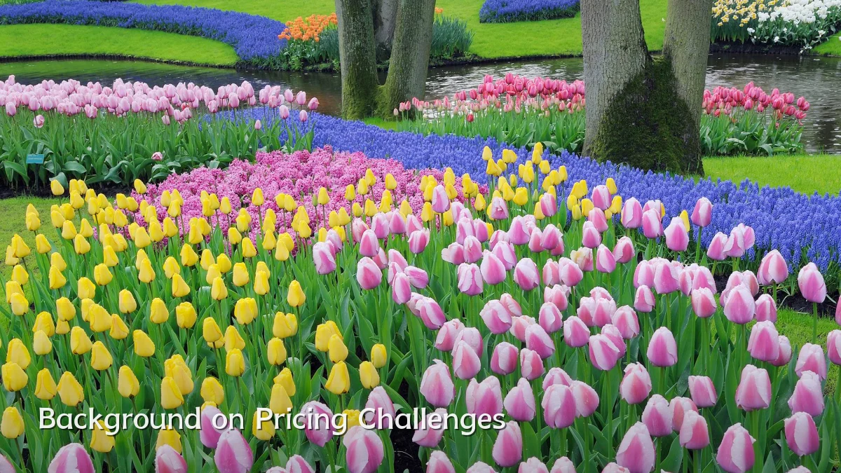 Background on Pricing Challenges