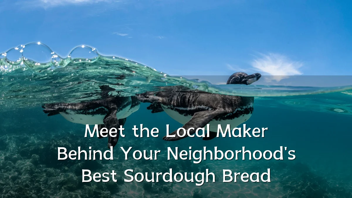 Meet the Local Maker Behind Your Neighborhood's Best Sourdough Bread