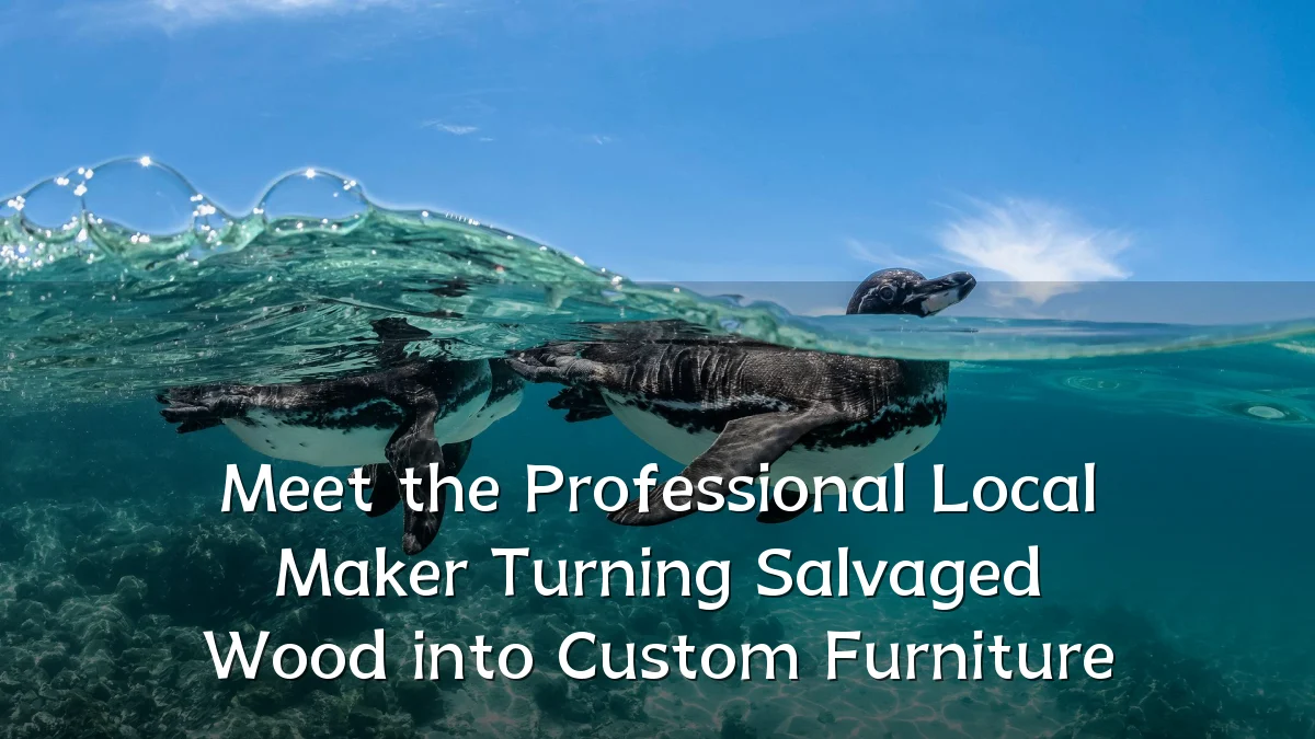 Meet the Professional Local Maker Turning Salvaged Wood into Custom Furniture