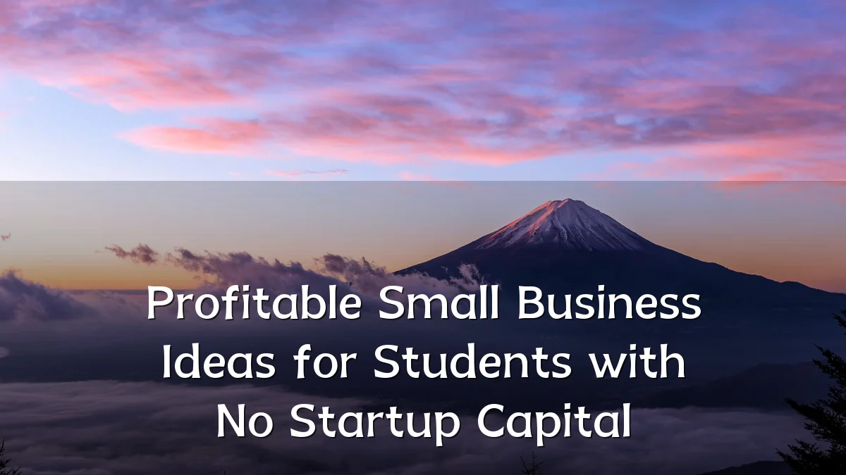 Profitable Small Business Ideas for Students with No Startup Capital