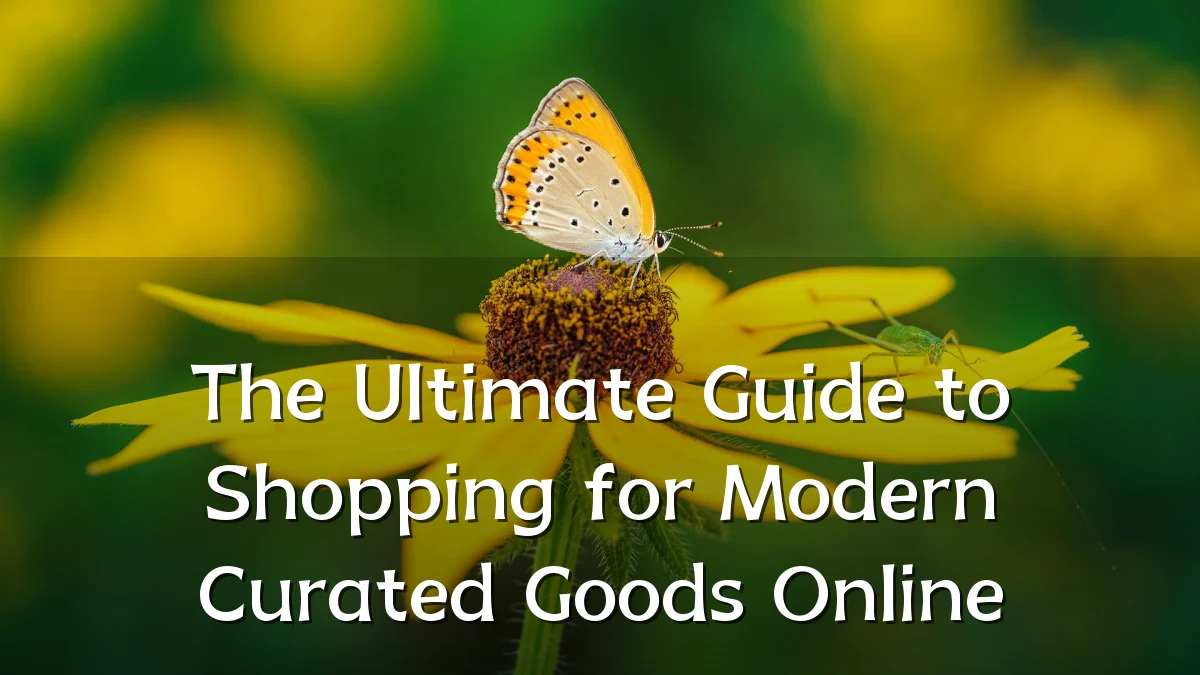 The Ultimate Guide to Shopping for Modern Curated Goods Online