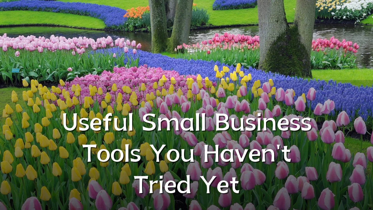 Useful Small Business Tools You Haven't Tried Yet