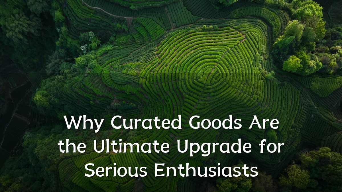 Why Curated Goods Are the Ultimate Upgrade for Serious Enthusiasts