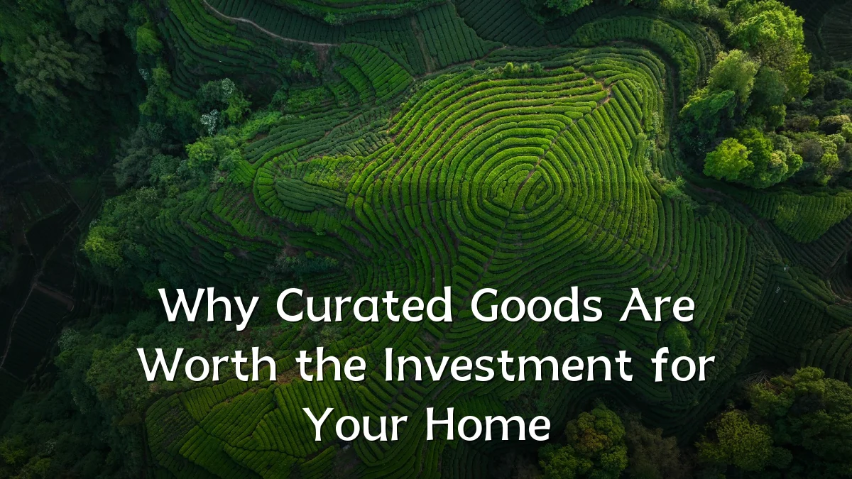 Why Curated Goods Are Worth the Investment for Your Home