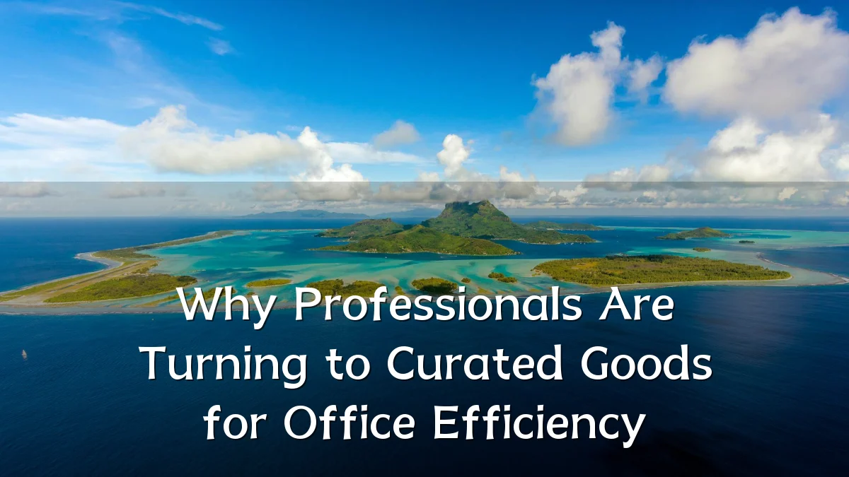 Why Professionals Are Turning to Curated Goods for Office Efficiency