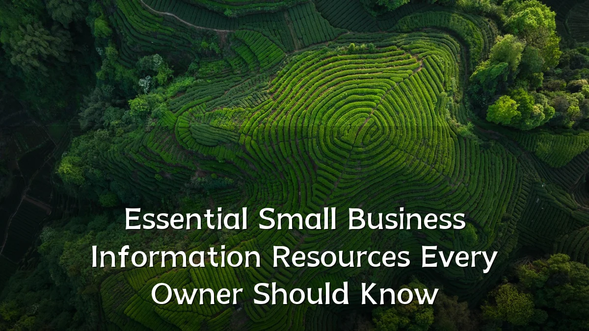 Essential Small Business Information Resources Every Owner Should Know