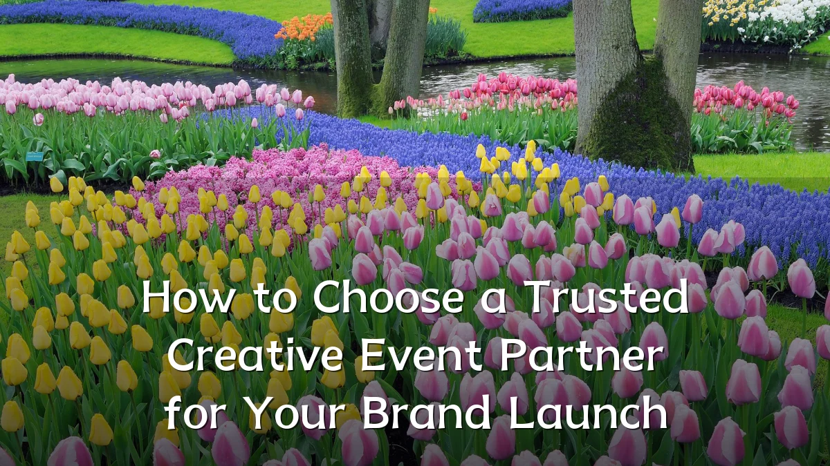 How to Choose a Trusted Creative Event Partner for Your Brand Launch