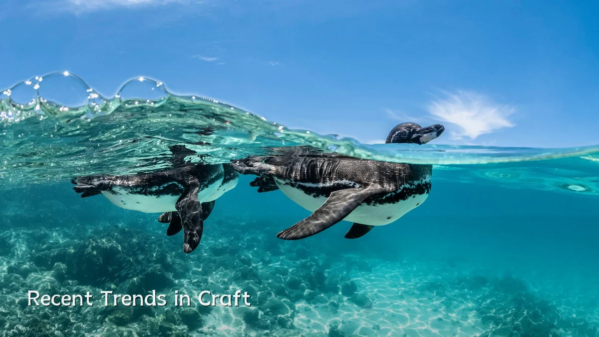 Recent Trends in Craft