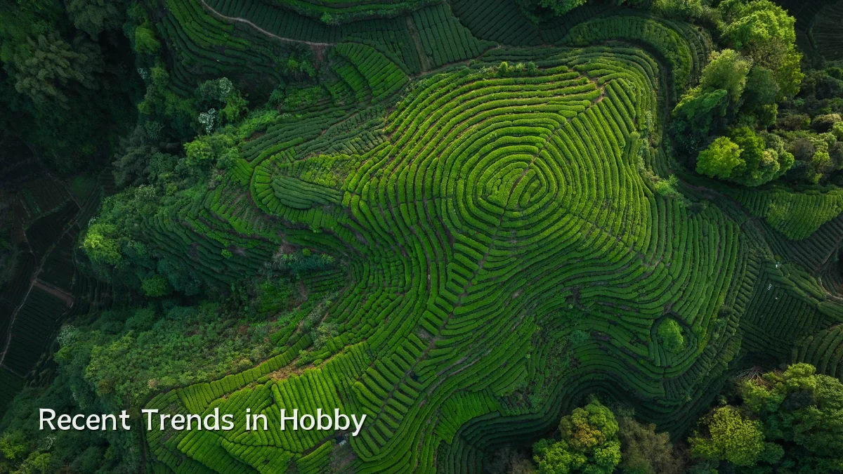 Recent Trends in Hobby
