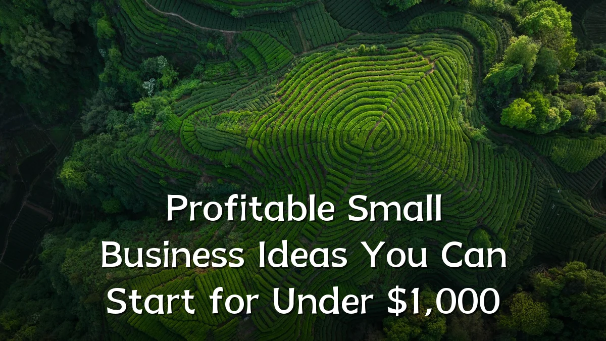 Profitable Small Business Ideas You Can Start for Under $1,000