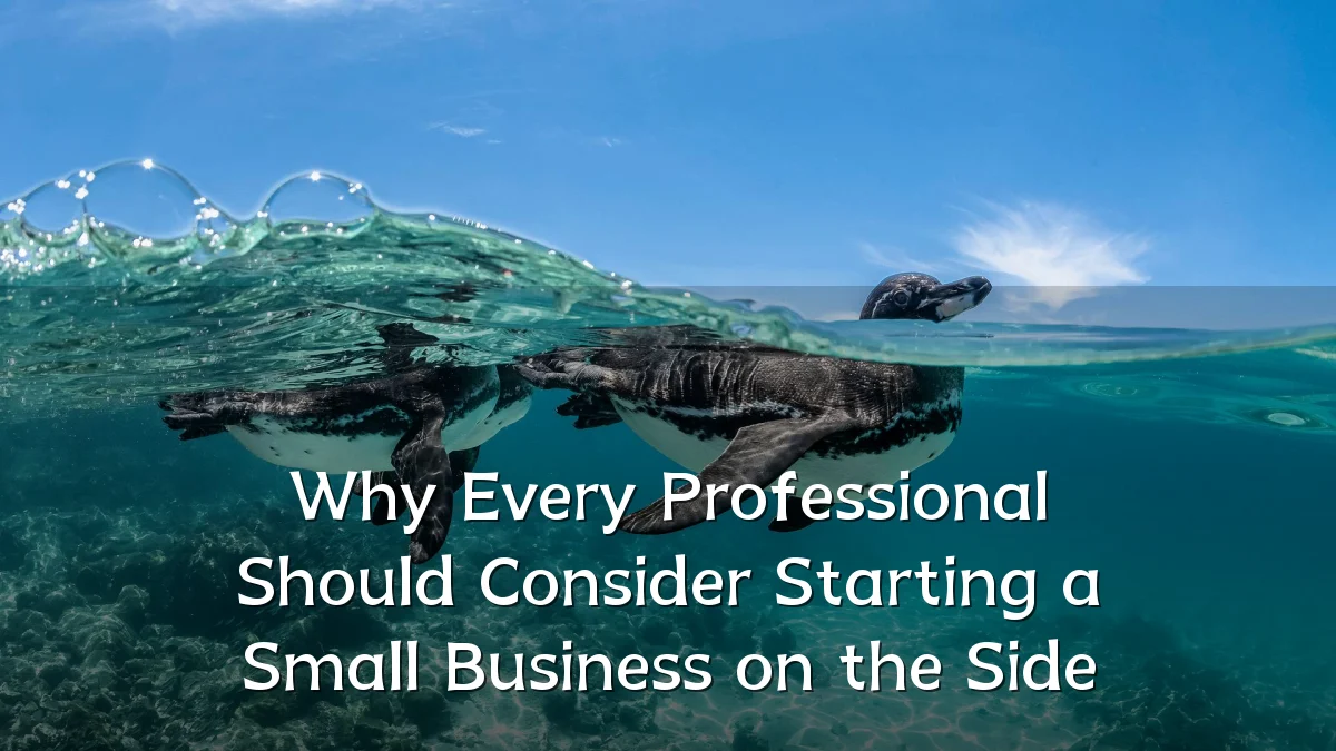 Why Every Professional Should Consider Starting a Small Business on the Side